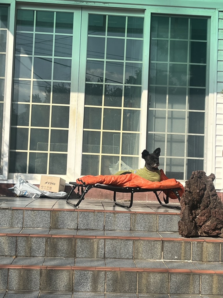 필업드림 이미지