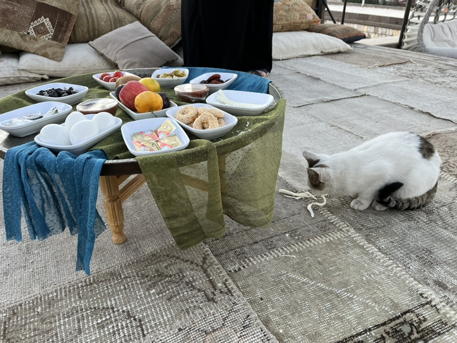 더하루 벌룬 이미지