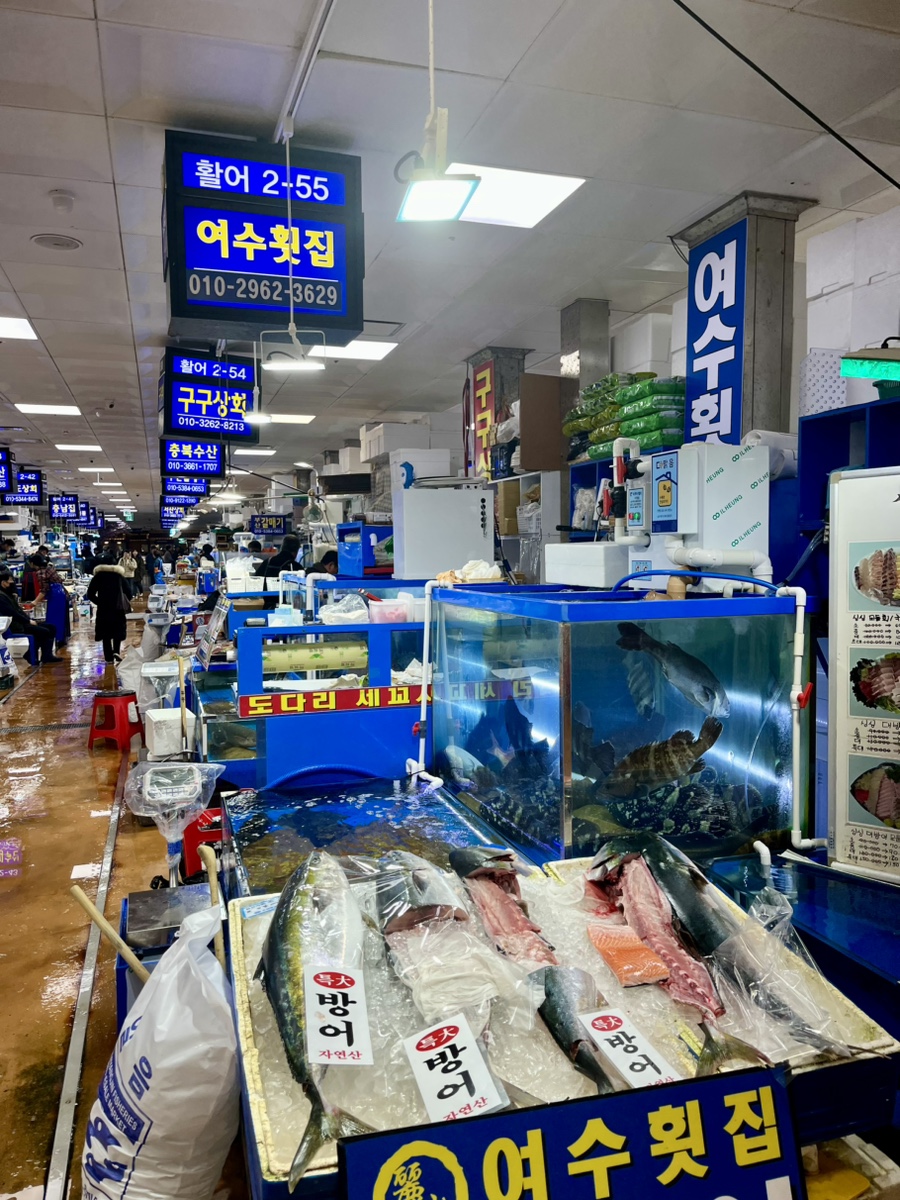 둘리수산 이미지
