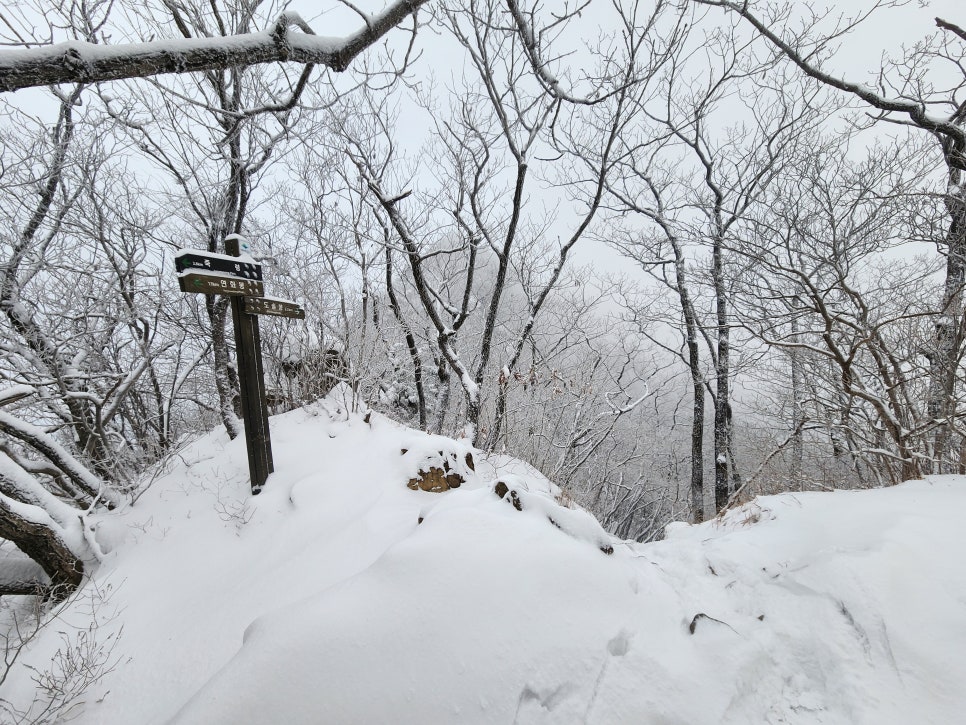삼거리식당 이미지