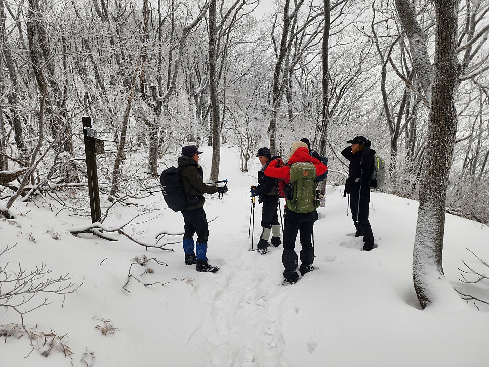 삼거리식당 이미지