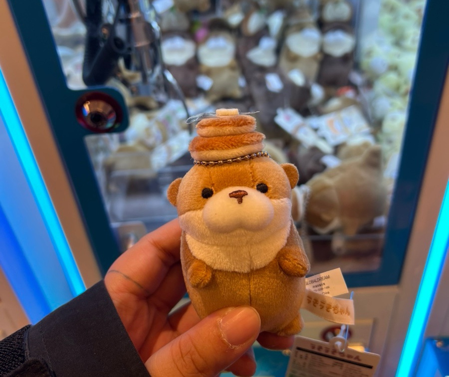 더뽑기뽑기 이미지