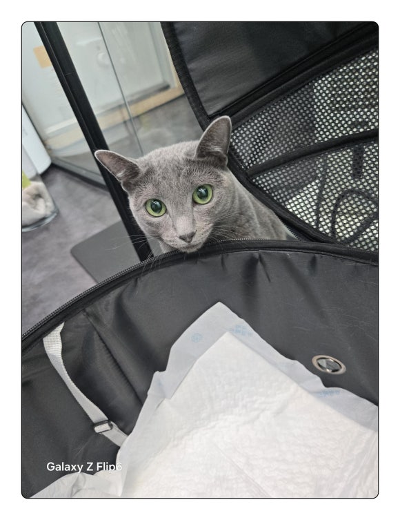 올망졸망 이미지