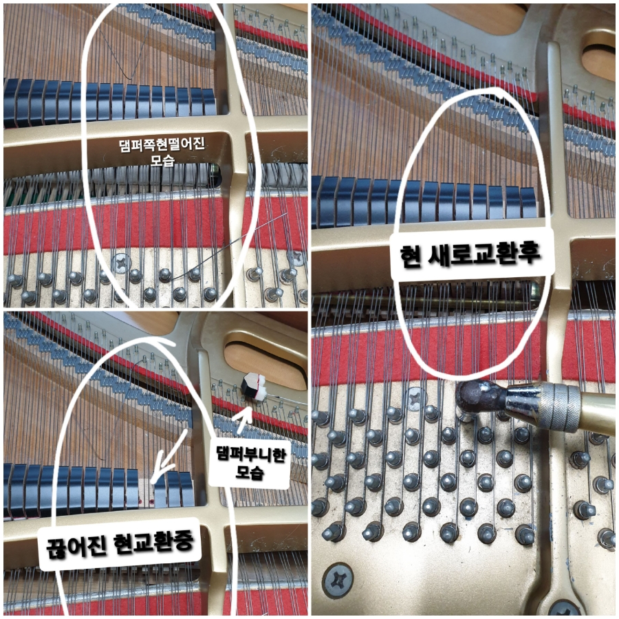 피아노피아피아노조율학원 이미지