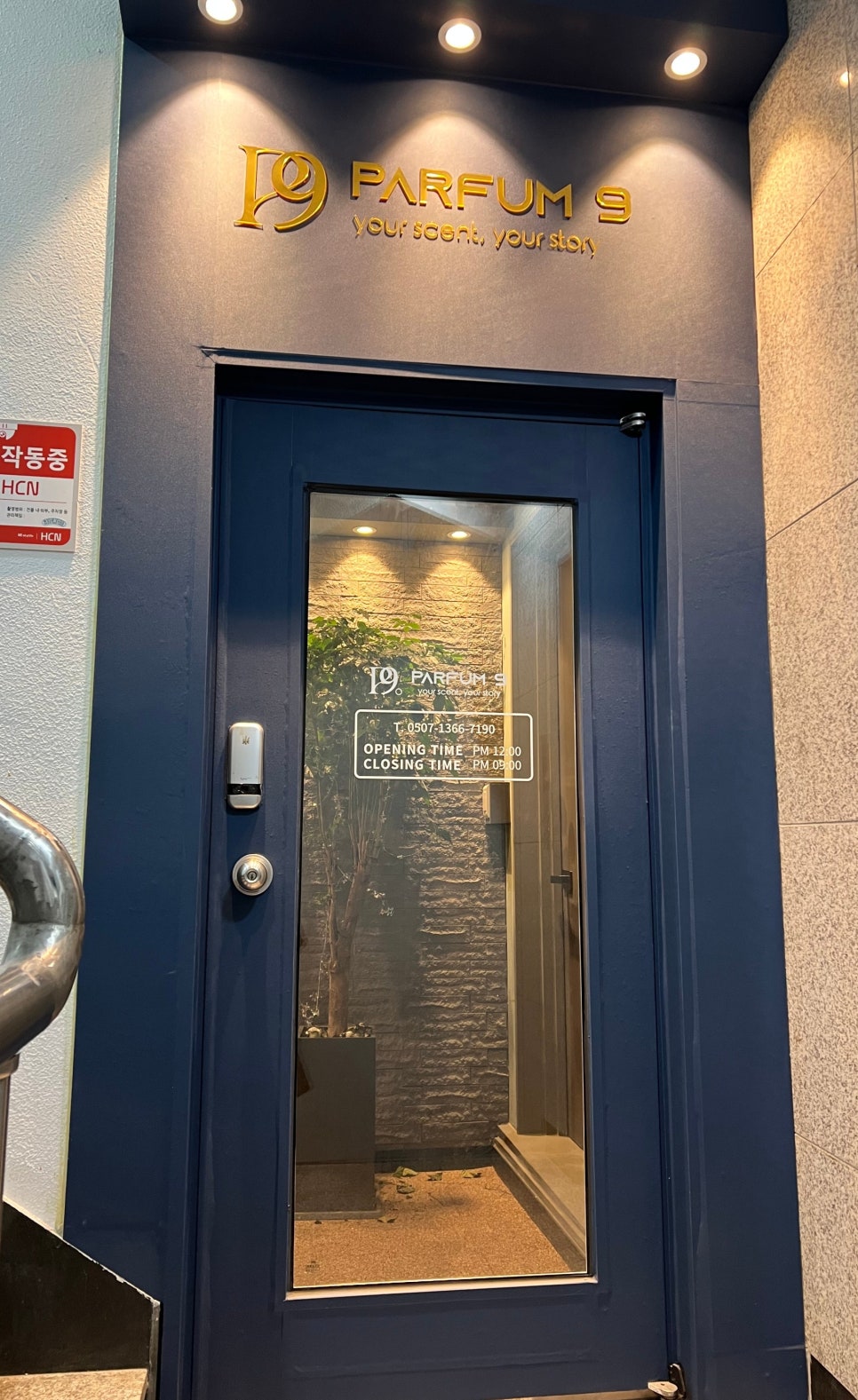 파펌나인 이미지