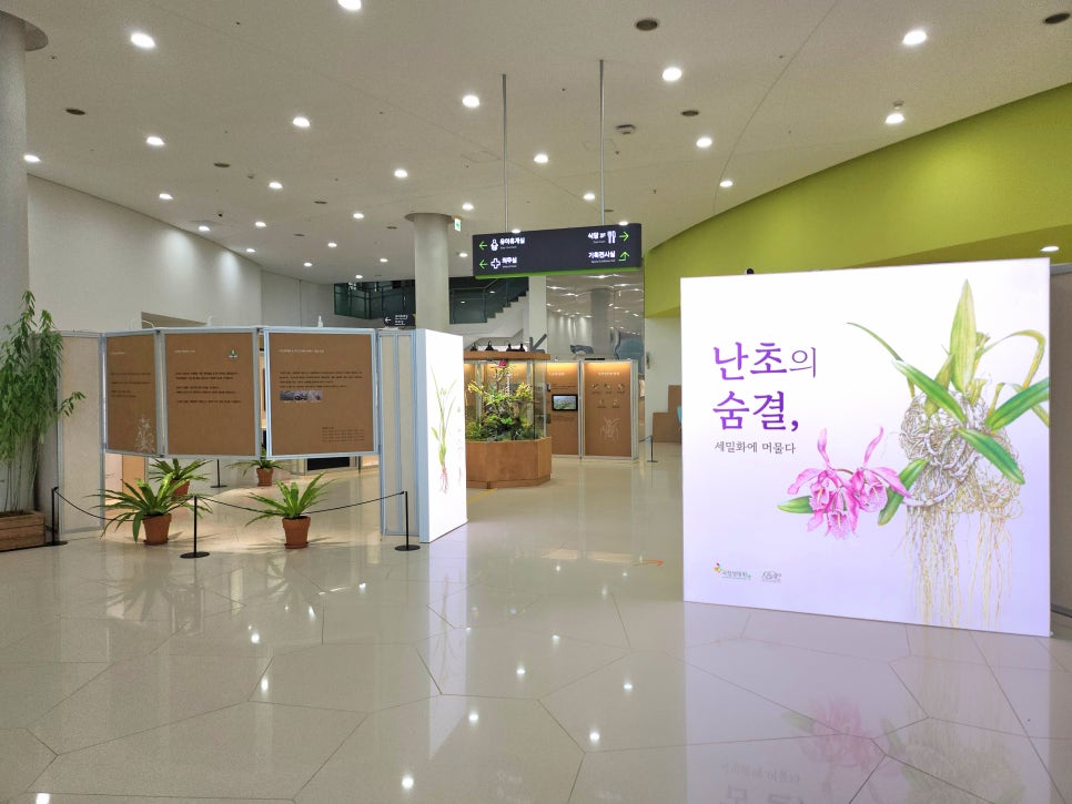 아하하 아트컴퍼니 이미지