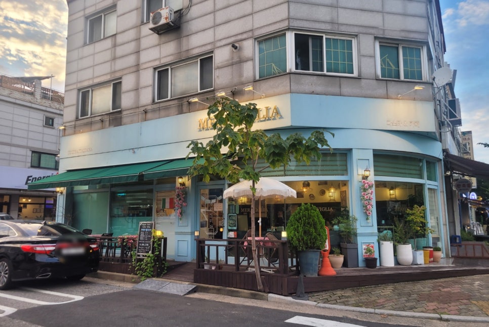 메라빌리아 이미지