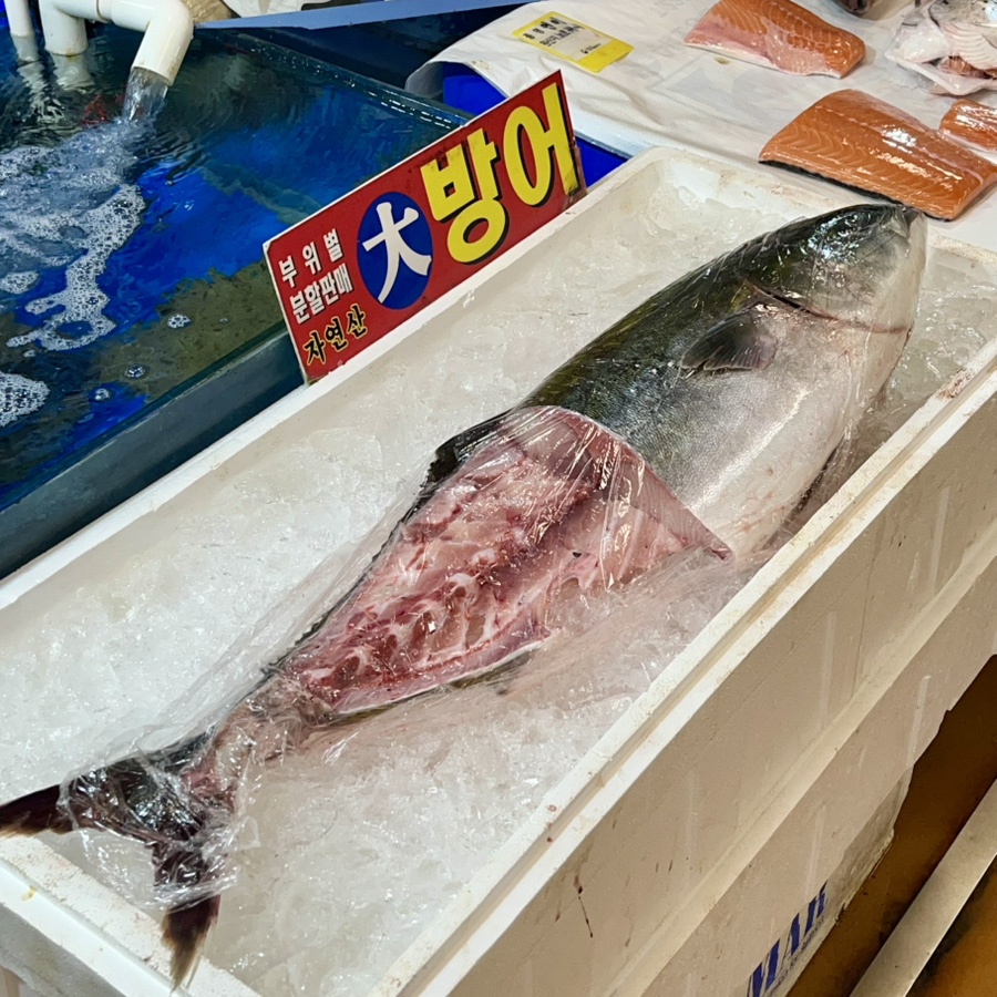 둘리수산 이미지