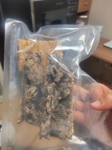 배팅샵가장 이미지