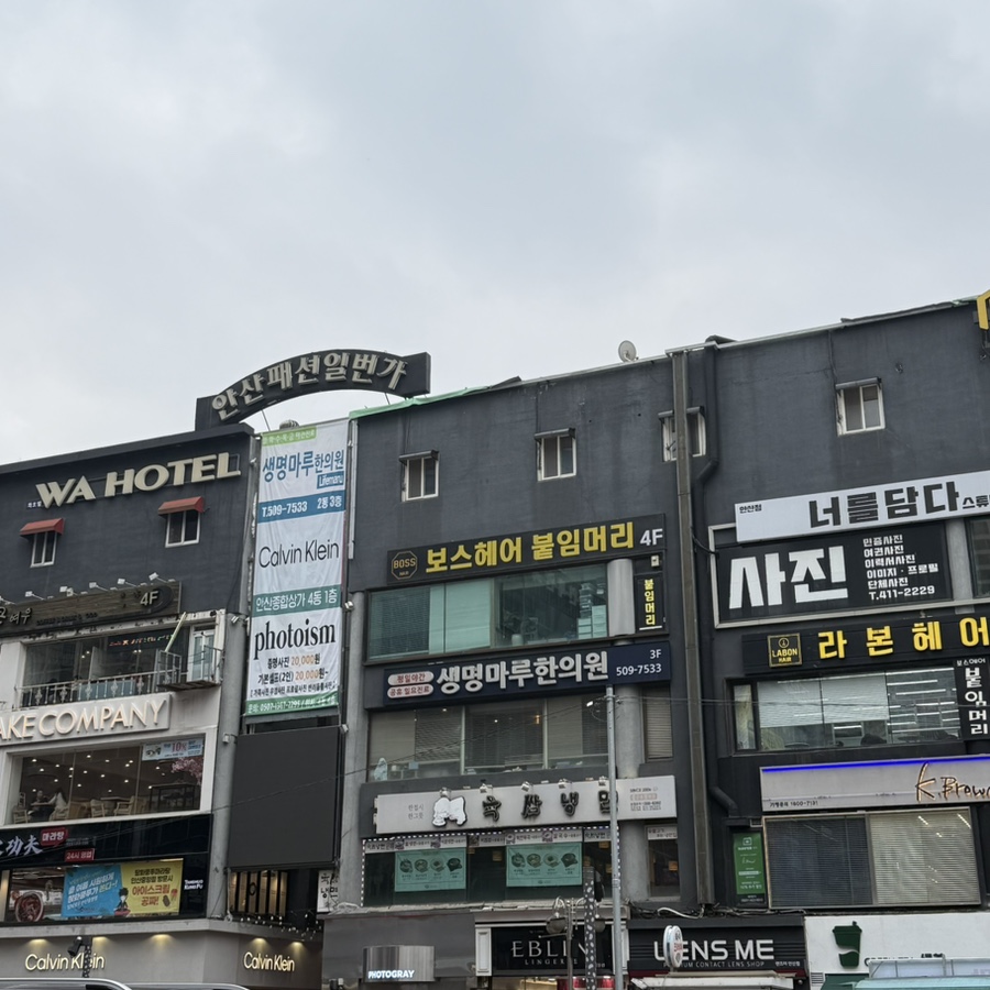 네일;피오리 이미지