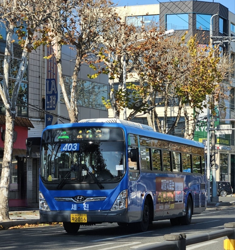 뉴세진광고 이미지