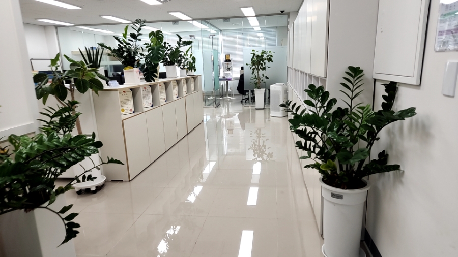 세종세무회계 이미지