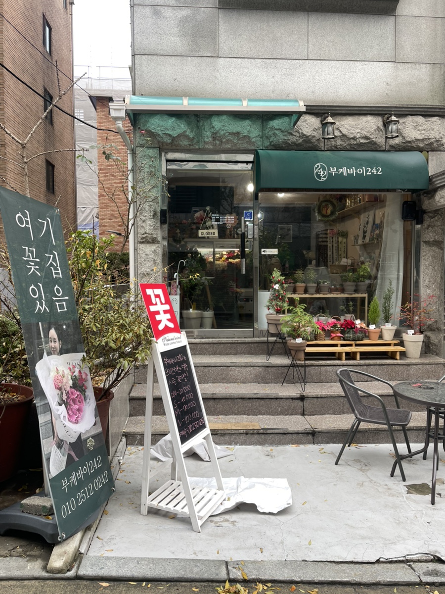 부케바이242 이미지