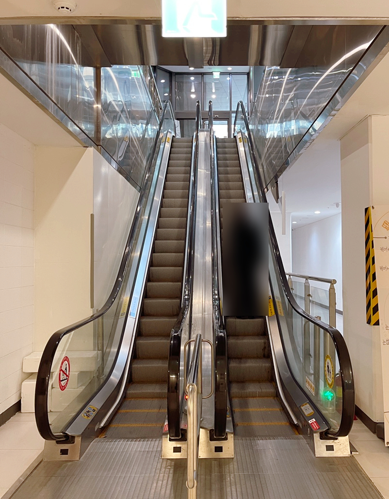 도노포레스타 이미지