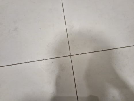 포포하우스 이미지