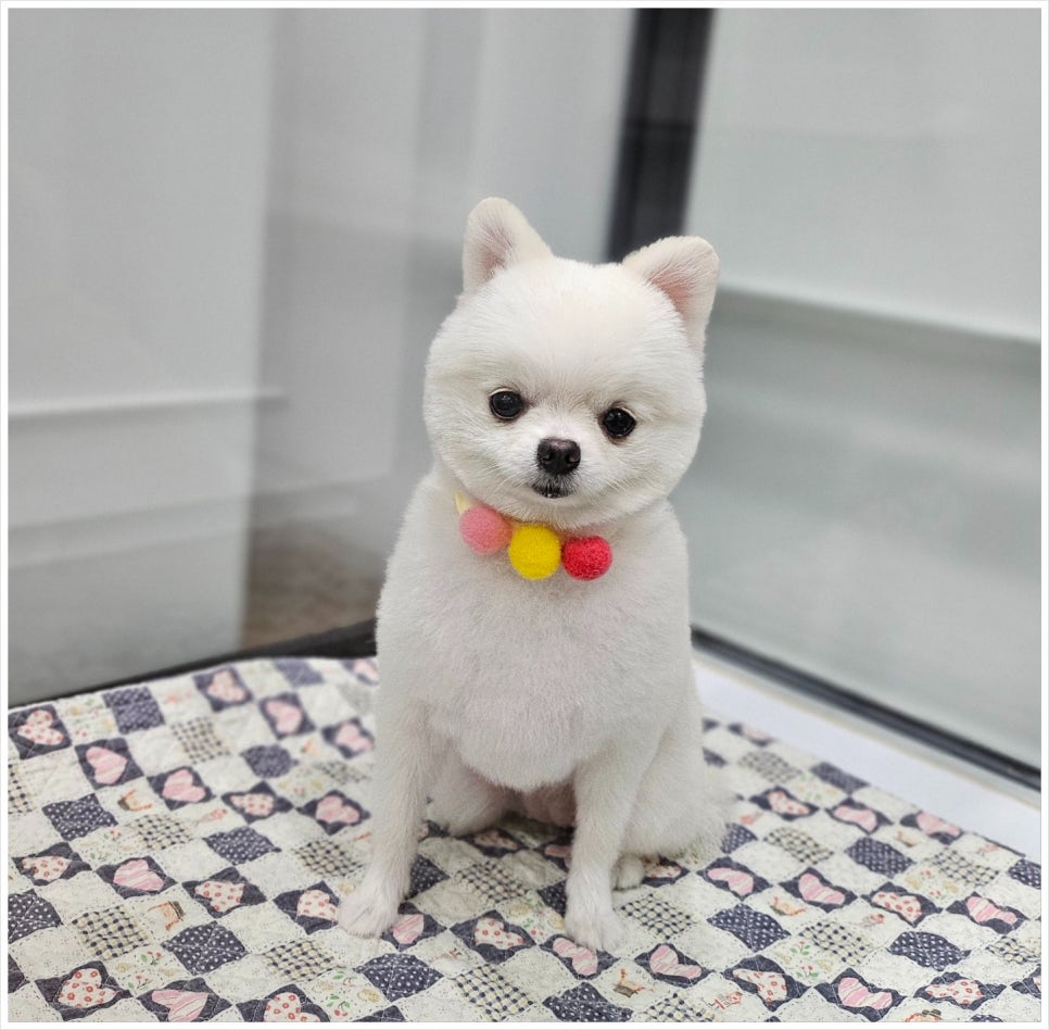 예쁜미용 이미지