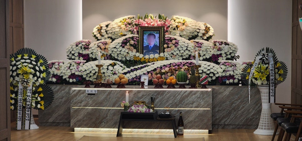 고혼케어라이프 이미지