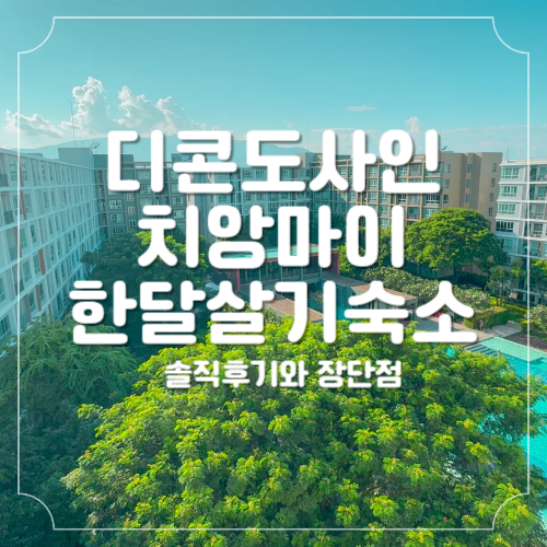 디-사인 이미지