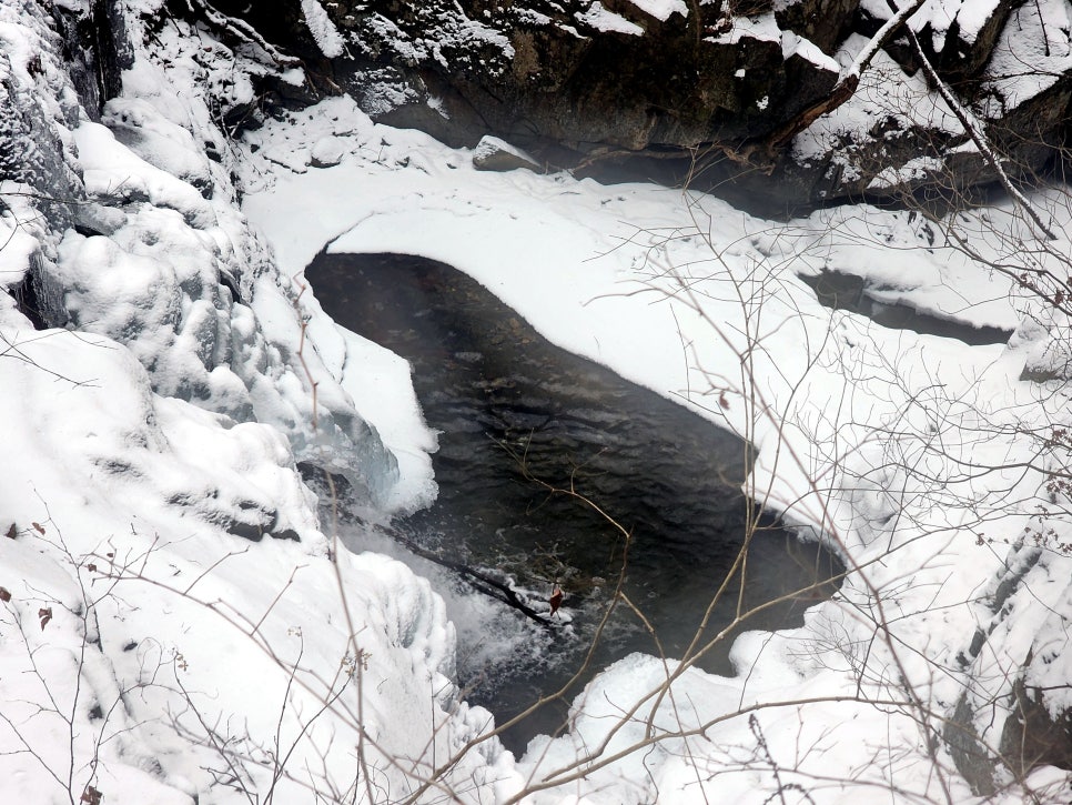 삼거리식당 이미지