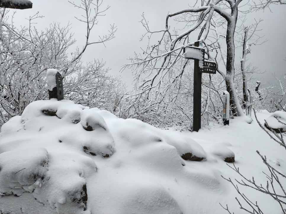 삼거리식당 이미지