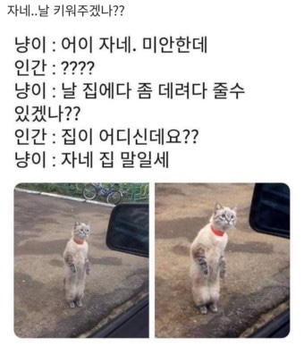 냉삼겹살 이미지