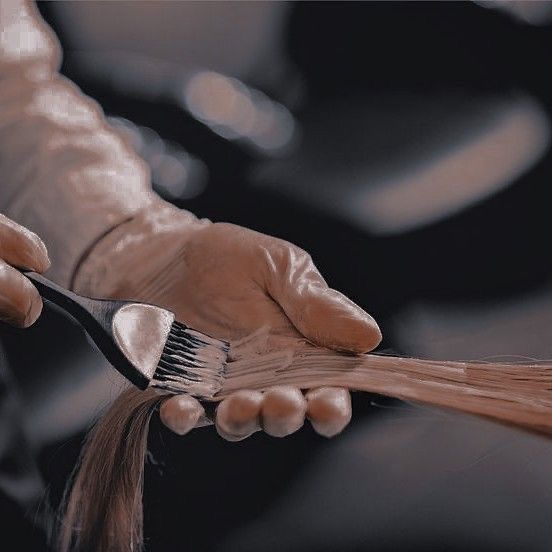 미학들 이미지