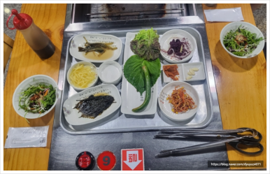 서파장어랜드 이미지