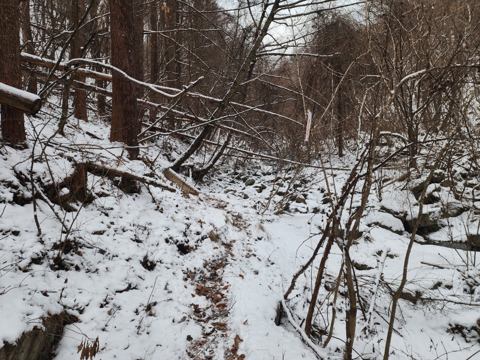 삼거리식당 이미지