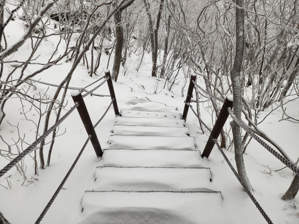 삼거리식당 이미지