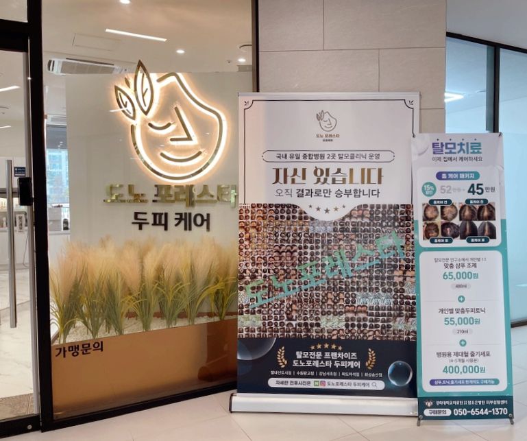 도노포레스타 이미지