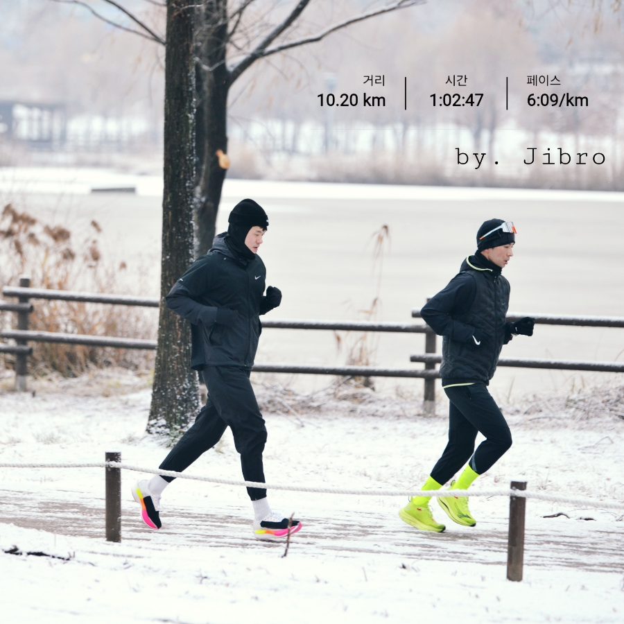 설 이미지