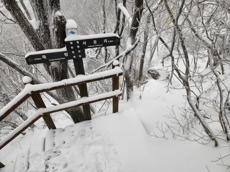 삼거리식당 이미지
