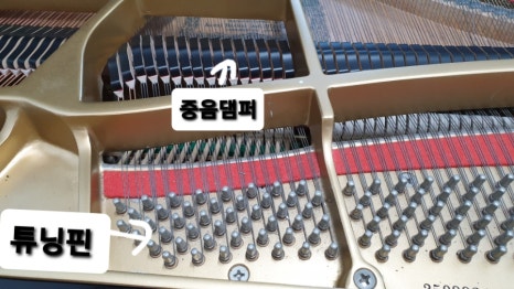 피아노피아피아노조율학원 이미지