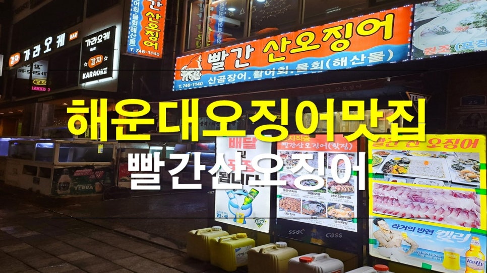 빨간산오징어 이미지