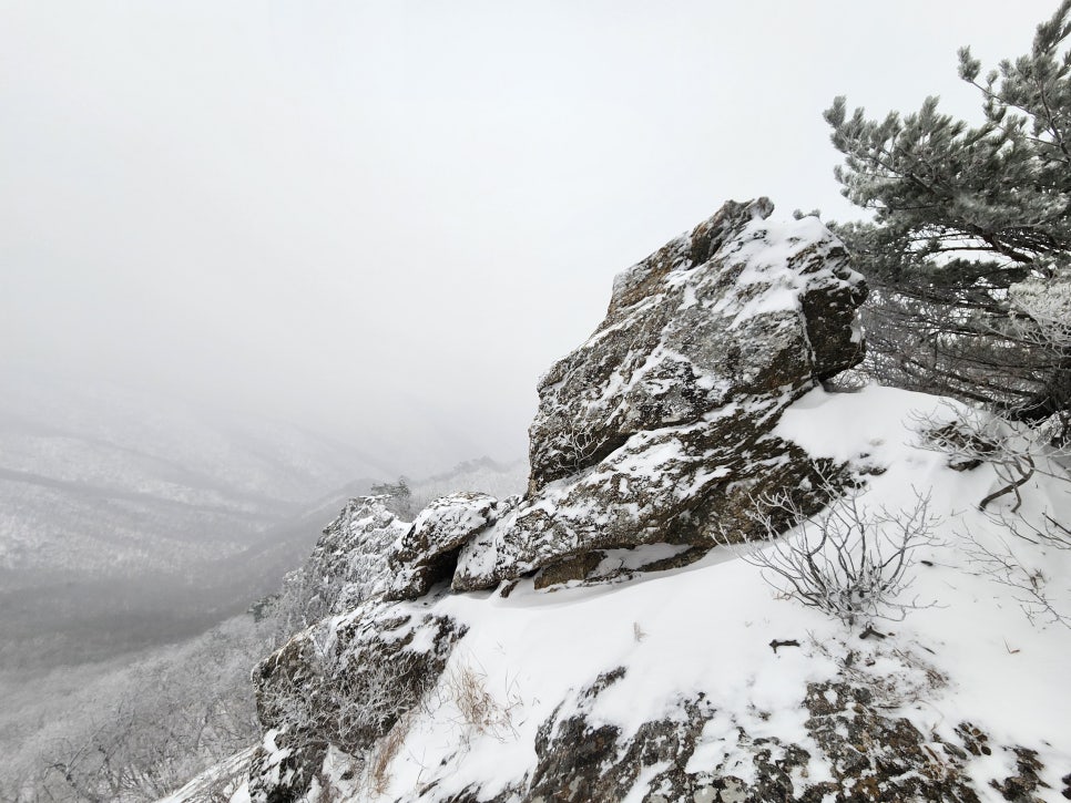 삼거리식당 이미지