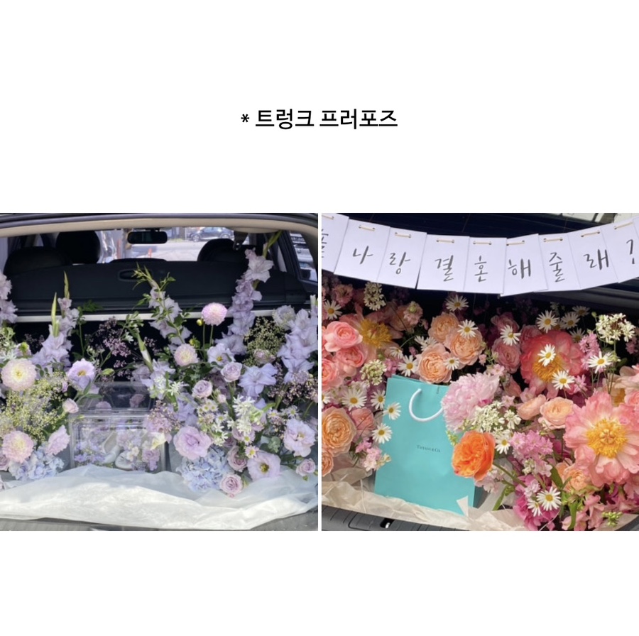 유토피스트 이미지