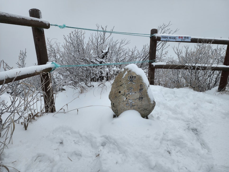 삼거리식당 이미지