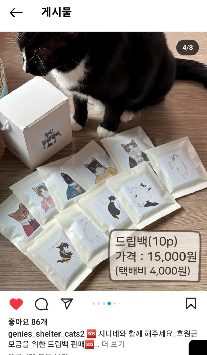 지니네 이미지