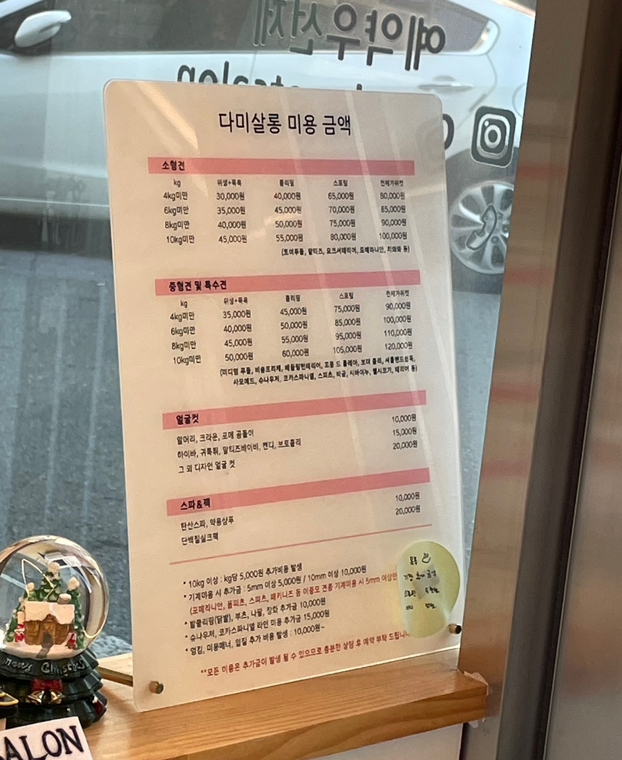 다미살롱 이미지