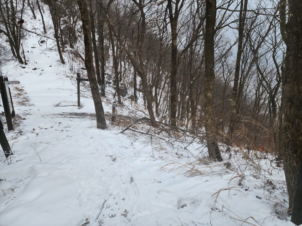 삼거리식당 이미지