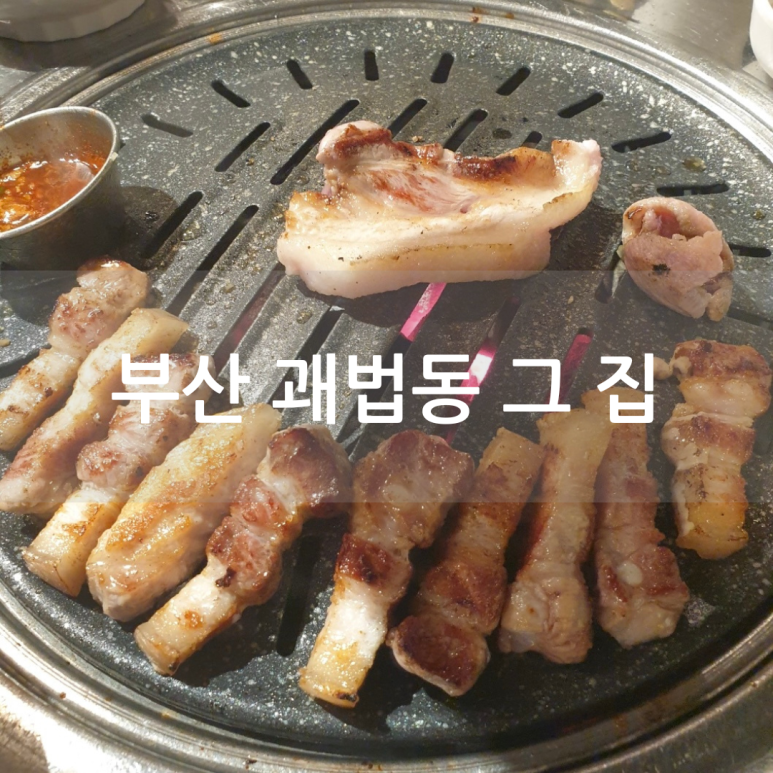 괘법동;그집 이미지