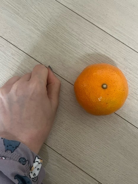 모드락농원 이미지