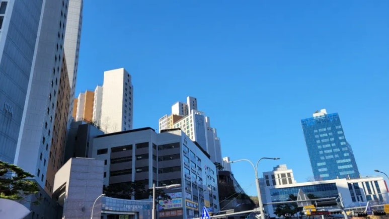 주간식당 이미지