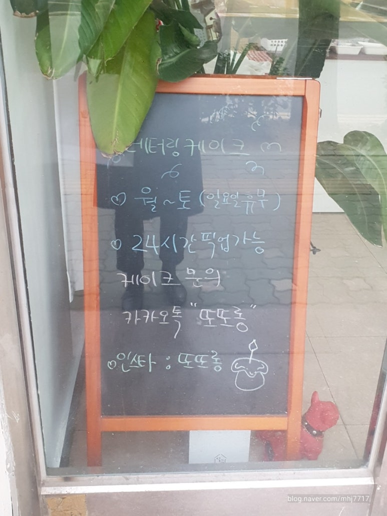 또또롱 이미지