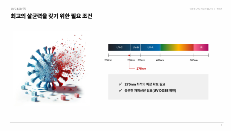 비치움 이미지