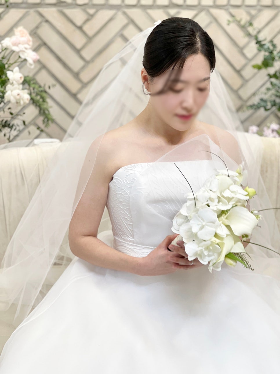 마리스포사앤아뜰리에레이나 이미지