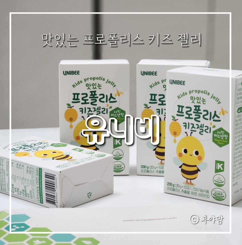 아이비이 이미지