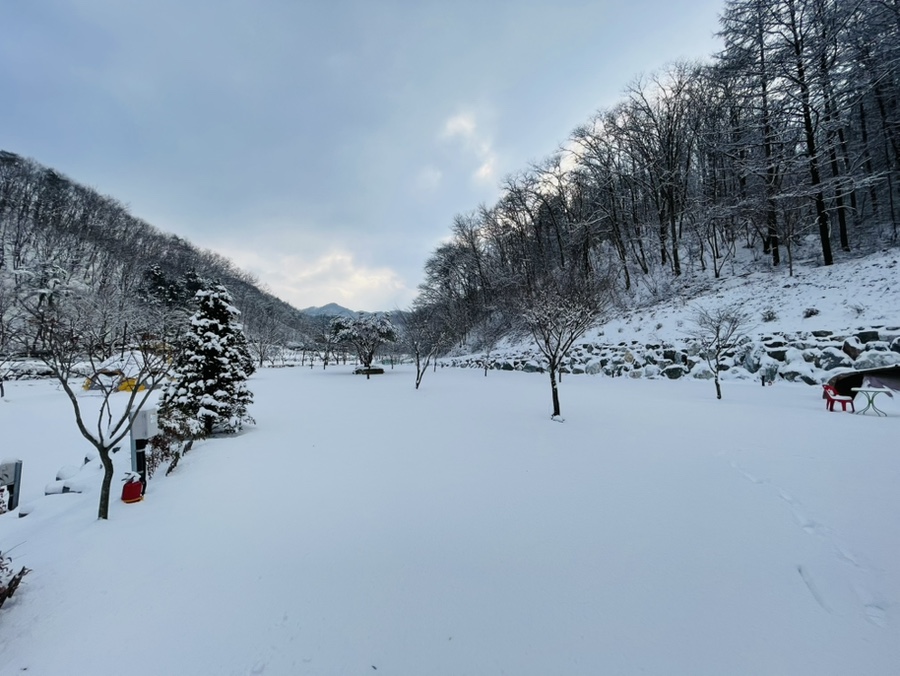 수동길170캠핑 이미지