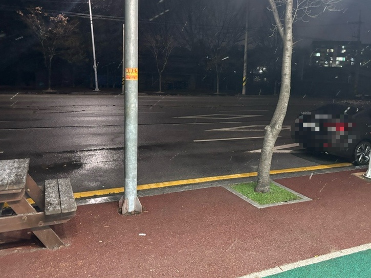 금성쭈꾸미 이미지