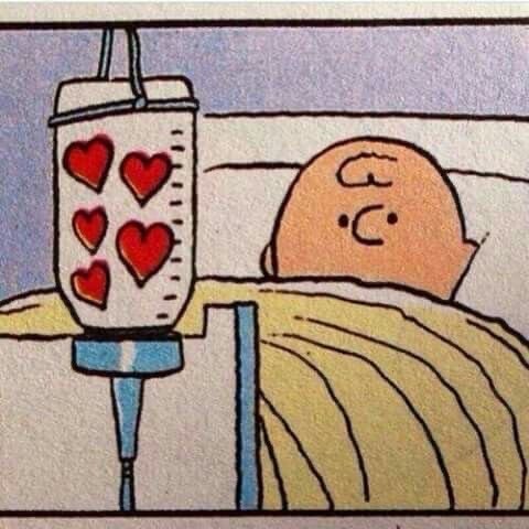 그대는꽃보다 이미지